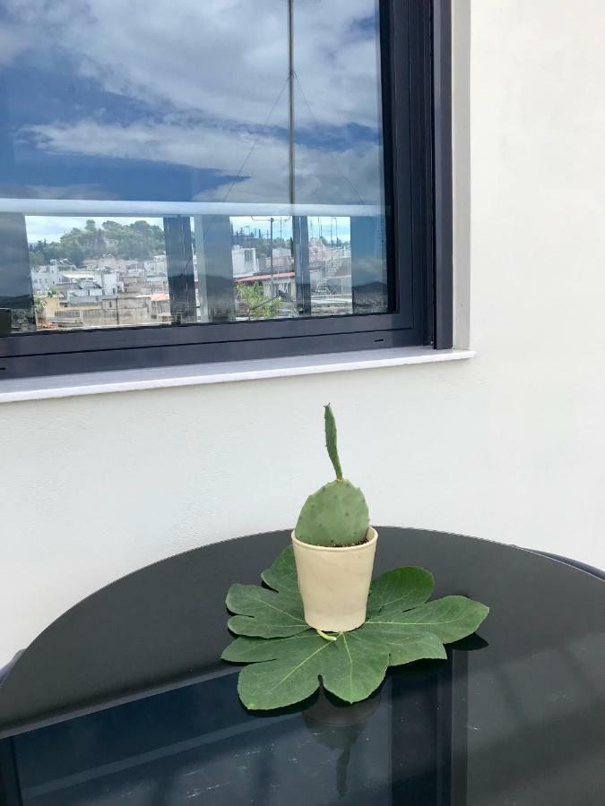 דירות אתונה Stylish Penthouse With Acropolis And 360 View מראה חיצוני תמונה